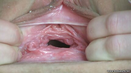 ดู วีดีโอ โป้ ฟรี